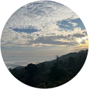 Shaks profile picture